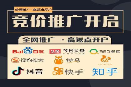 搜索引擎竞价推广实战：行业领先企业的成功秘诀